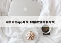 湖南公司app開發(fā)（湖南軟件定制開發(fā)）