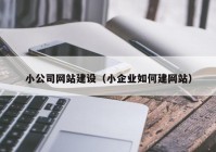 小公司網(wǎng)站建設(shè)（小企業(yè)如何建網(wǎng)站）