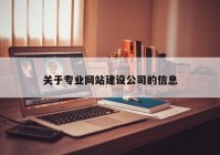 關(guān)于專業(yè)網(wǎng)站建設(shè)公司的信息