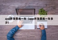 app開發(fā)費(fèi)用一年（app開發(fā)費(fèi)用一年多少）