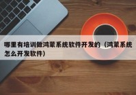 哪里有培訓做鴻蒙系統(tǒng)軟件開發(fā)的（鴻蒙系統(tǒng)怎么開發(fā)軟件）