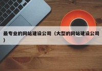 最專業(yè)的網(wǎng)站建設(shè)公司（大型的網(wǎng)站建設(shè)公司）