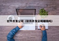 軟件開發(fā)公司（軟件開發(fā)公司賺錢嗎）