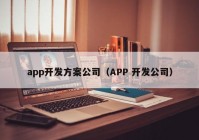 app開發(fā)方案公司（APP 開發(fā)公司）