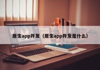 原生app開發(fā)（原生app開發(fā)是什么）