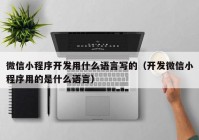 微信小程序開發(fā)用什么語言寫的（開發(fā)微信小程序用的是什么語言）