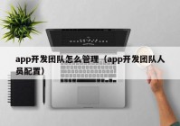 app開發(fā)團隊怎么管理（app開發(fā)團隊人員配置）