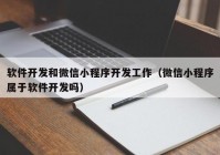 軟件開發(fā)和微信小程序開發(fā)工作（微信小程序?qū)儆谲浖_發(fā)嗎）