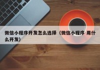 微信小程序開發(fā)怎么選擇（微信小程序 用什么開發(fā)）