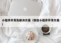 小程序開發(fā)及解決方案（微信小程序開發(fā)方案）