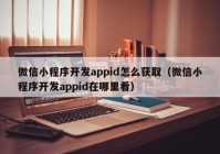 微信小程序開發(fā)appid怎么獲取（微信小程序開發(fā)appid在哪里看）