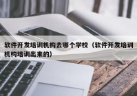 軟件開發(fā)培訓機構去哪個學校（軟件開發(fā)培訓機構培訓出來的）