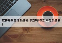 軟件開發(fā)靠什么盈利（軟件開發(fā)公司怎么盈利）